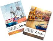Hasta noviembre de 2023 las importaciones de neumáticos asiáticos crecieron en consumer y camión