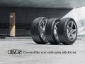 Continental EV Compatible