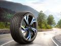 Michelin Pilot Sport EV