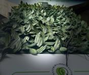 Michelin y Murarte revolucionan la sostenibilidad urbana con jardines verticales hechos de neumáticos reciclados