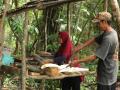 5.000 pequeños agricultores han participado en el proyecto en Indonesia