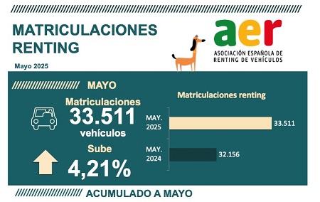 Datos del renting en 2025