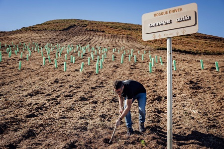 El Grupo Driver impulsa en Portugal su segundo Bosque Driver