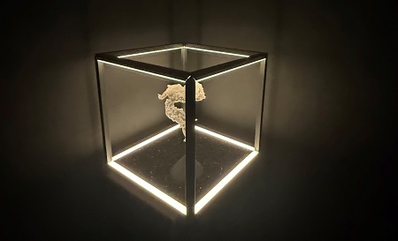 Eduardo de Elío Ontiveros 