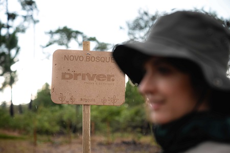 Ubicado en un antiguo terreno forestal degradado y plagado de especies invasoras