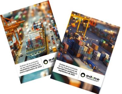 Las importaciones de neumáticos asiáticos crecen en consumer y camión hasta septiembre de 2025