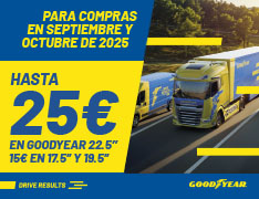 Goodyear 2025