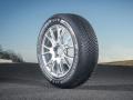 Michelin Alpin 5