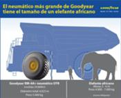 ¿Sabías que el neumático más grande de Goodyear mide y pesa como un elefante?