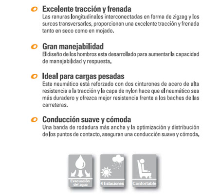 Características del Ovation VI-02 