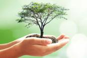 Ecological Drive destina parte de las ventas de neumáticos reciclados Insa Turbo a la reforestación