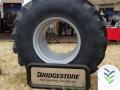 Bridgestone en Demoagro 2017