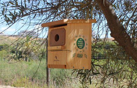 Cajas nido en el Paraje Natural Municipal Clot de Galvany