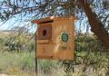 Cajas nido en el Paraje Natural Municipal Clot de Galvany