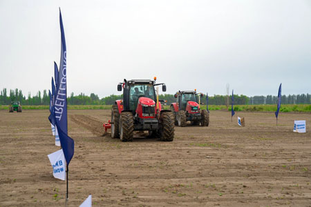Día de Campo en Xinjiang
