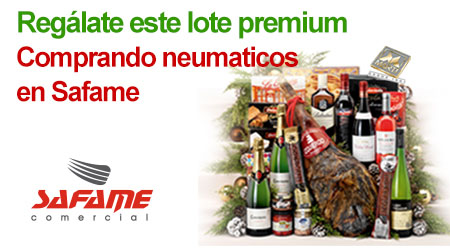 Lotes Navideños con Safame