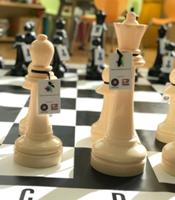 Grupo Soledad colabora con la planta pediátrica del Hospital Universitario de Elche