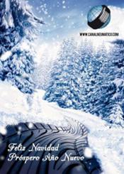 Feliz Navidad y Próspero Año Nuevo