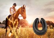 ContiTech y turfcord presentan una innovadora protección de caucho para las pezuñas de los caballos 