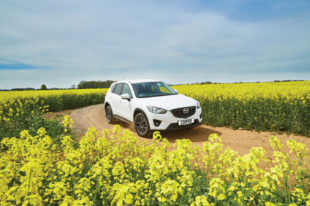 Cooper Discoverer A/T3