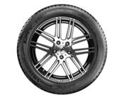 El Vredestein Wintrac Pro resulta vencedor de la prueba de Auto Bild de 2018