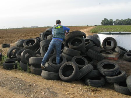 CAPA Neumático recoge un cementerio de neumáticos ilegal