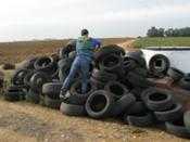 CAPA Neumático recoge un cementerio de neumáticos ilegal