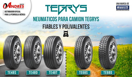 La gama de neumáticos de carretera Tegrys 