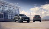 Falken, equipo original del Audi Q3