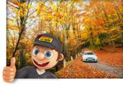 Diez consejos muy útiles de Confortauto para conducir seguros en otoño