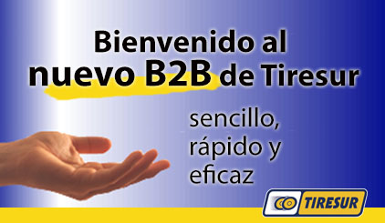 B2B de Tiresur