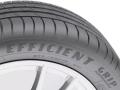 Goodyear EffficientGrip Performance