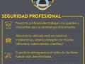 Seguridad Profesional