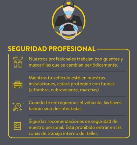 Seguridad Profesional