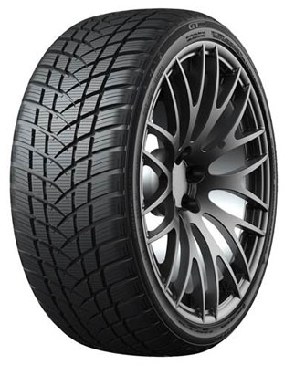 GT Radial WinterPro2Sport