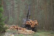 BKT ofrece cuatro líneas de productos forestales, un sector sin crisis