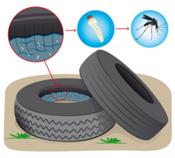 ¿Por qué el reciclado de neumáticos contribuye a evitar la proliferación de mosquitos?
