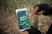 Continental y el Gobierno de Alemania logran un hito, establecer una cadena de suministro de caucho, sostenible y rastreable digitalmente