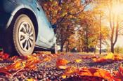 Confortauto ofrece 8 prácticos consejos para conducir con seguridad en otoño