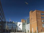 Goodyear compra Cooper Tire 