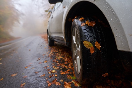 Recomendaciones para conducir en Otoño de forma segura