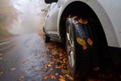 8 Recomendaciones para conducir en Otoño de forma segura