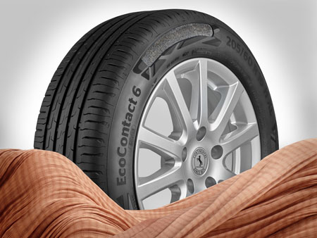 Continental EcoContact 6
