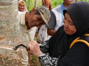 Continental digitaliza sus compras de caucho natural con HeveaConnect