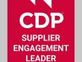 Supplier Engagement Rating para Continental