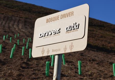 El Bosque Driver brota en Llanes
