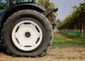Trelleborg Pneutrac