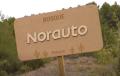 Bosque Norauto