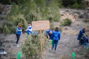 Bosque Norauto, la alternativa sostenible de la compañía para compensar la huella de carbono