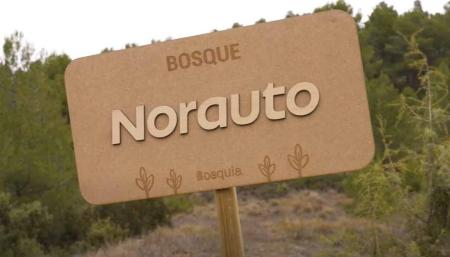 Bosque Norauto